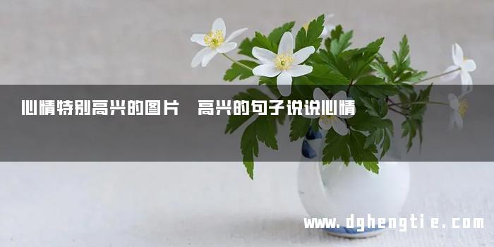 心情特别高兴的图片 高兴的句子说说心情